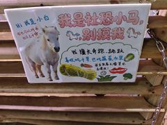 -正佳雨林生态植物园