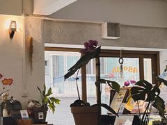 -ABCD咖啡屋(妇幼店)