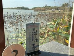 -东滩湿地公园观海楼餐厅