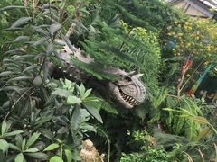 -呀路古热带植物园-恐龙馆