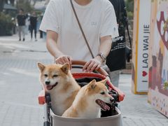-老外街