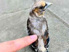 -中国观音故里广德景区