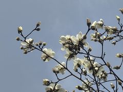 -塔子山公园