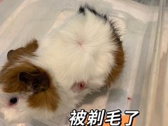 -雨林宠物医院·异宠专科(浦东分院)