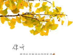 -辽宁大学(崇山校区)