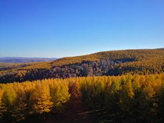 -塞罕坝国家级自然保护区