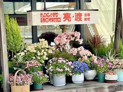 -亮渡Light House海景餐厅