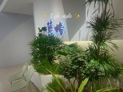 -麓椿花园西餐厅(海乐世界店)