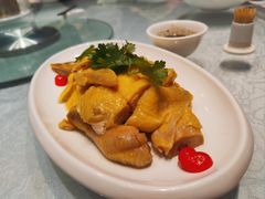 -金米箩大酒店(五角场店)