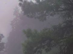 -敬亭山风景名胜区