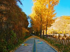-云蒙山风景区