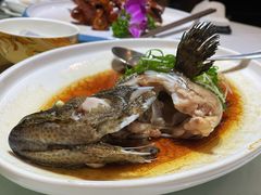 -金河半岛园林酒家(金融城店)