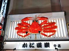 -蟹道乐(道顿堀本店)