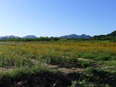 -北京东方普罗旺斯薰衣草庄园