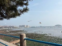 -吴草鸡爪오초닭발(城阳总店)