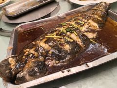 家常烧舌头鱼-清真老马家海鲜大排档(台东店)