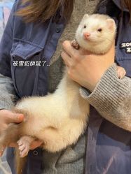 -Zoolung Zoolung动物主题公园(海信广场店)