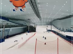 -哈尔滨热雪奇迹