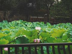 -莫催咖啡