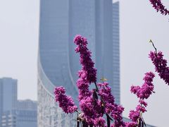 -天鹅湖体育公园