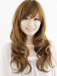 gar147_a-一丁木造型