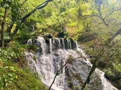 -宁波市保国寺古建筑博物馆
