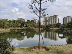 -王借岗森林公园