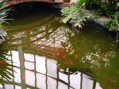 -石家庄市植物园