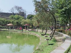 -金砂公园