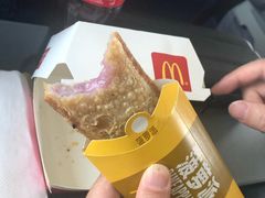 -麦当劳(郑州东高铁站店)