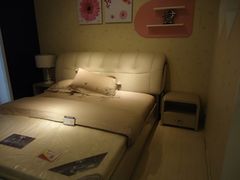 -红星美凯龙(山东全球家居1号店)