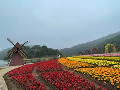 -广州市石门国家森林公园