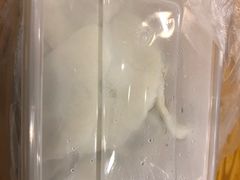 -枫林饺子