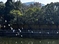 -阿育王寺