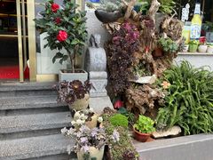 -野菌皇海景野生菌火锅(滨海大道店)