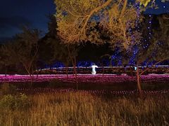 -新疆天山野生动物园