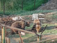 -青藏高原野生动物园