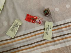 -挂雪铁锅炖大鹅
