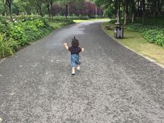 -九里河湿地公园