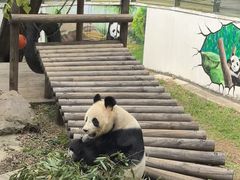 -天目湖御水温泉·度假酒店