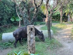 -上海野生动物园