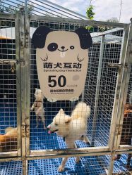 -萌宠亲子动物乐园(槐房万达店)