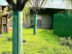 -沈阳森林动物园