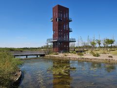 -春花秋色城市公园