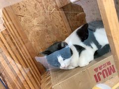 -颐玖 咖啡|甜品