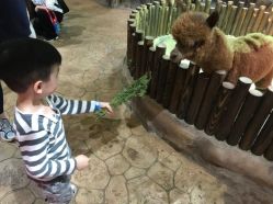 -宝燕乐园(闵行旗舰店)