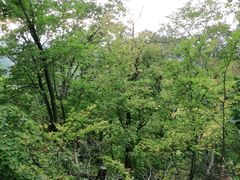 -帽儿山国家森林公园