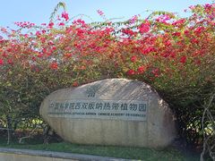 -中国科学院西双版纳热带植物园