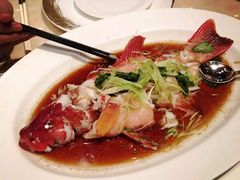 -8餐厅(新葡京酒店)