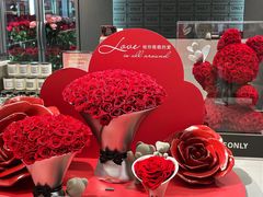 -ROSEONLY诺誓(国际广场购物中心店)